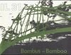 IL 31 Bambus-Bamboo