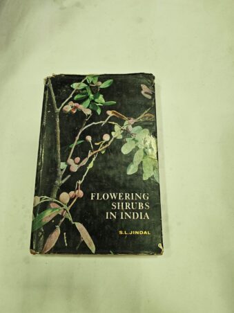 FLOWERING SHRUBS IN INDIA